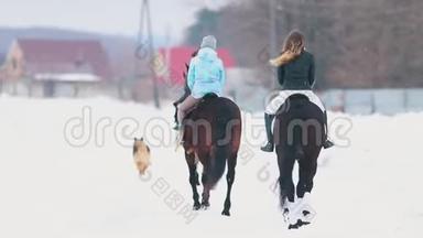 一群骑马的人在一个村子里，一只狗在他们身边跑